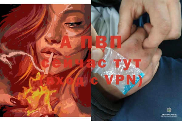 винт Абинск