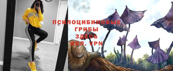 винт Абинск