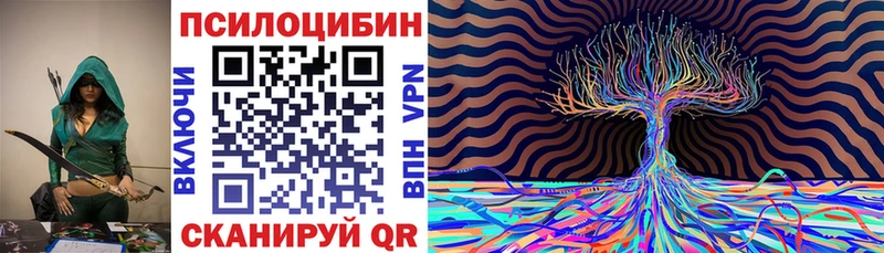 где купить наркотик  Советская Гавань  blacksprut вход  Псилоцибиновые грибы Psilocybine cubensis 