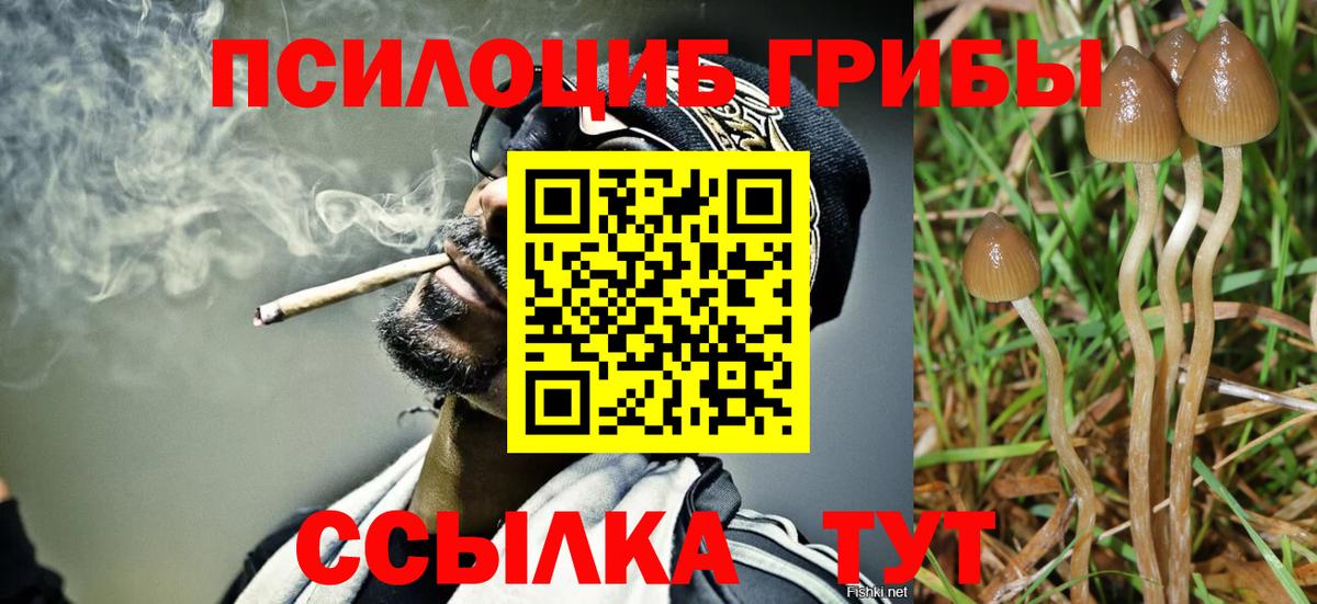Советская Гавань  Псилоцибиновые грибы мухоморы  Галлюциногенные грибы Psilocybine cubensis  Вход с VPN 