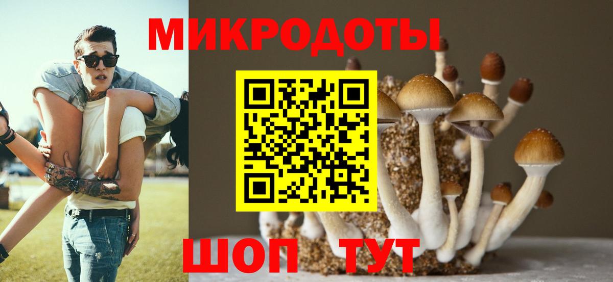Галлюциногенные грибы GOLDEN TEACHER Советская Гавань